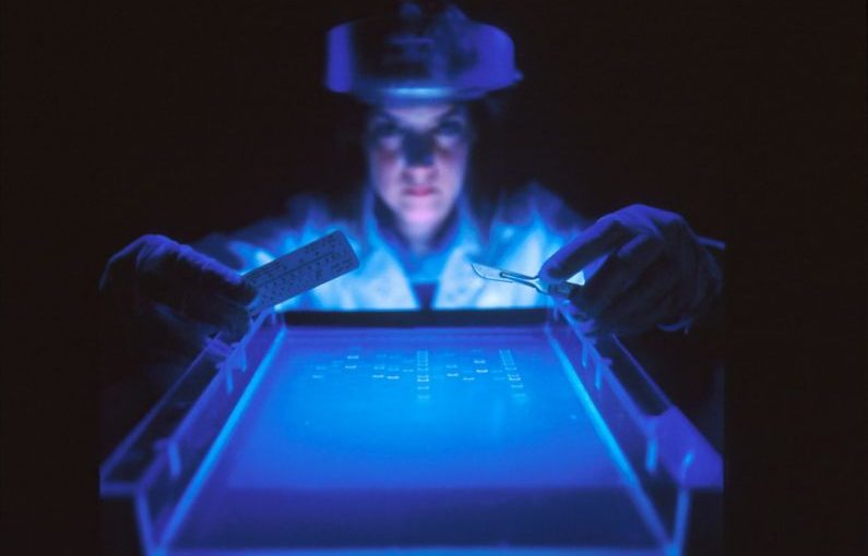 Genetics Health - woman doing research while holding equipment