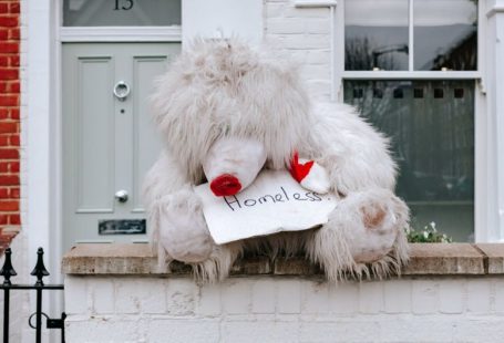 Pet Loss - white animal plush toy on gray concrete wall on top