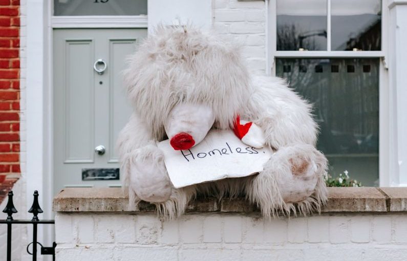 Pet Loss - white animal plush toy on gray concrete wall on top