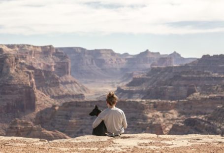 Pets Travel - person with dog sitting on Grand Canyon cliff