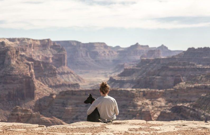 Pets Travel - person with dog sitting on Grand Canyon cliff