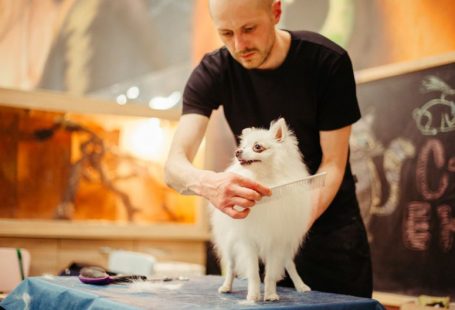 Pet Grooming - man brushing dog hair