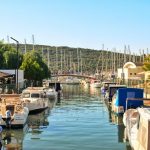 Choosing Fish - white and blue boat on dock during daytime