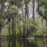 Saltwater Freshwater - 2 person riding on boat on river during daytime