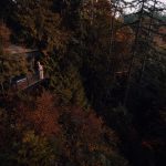 Maintenance Routine - brown wooden house on top of brown and green trees
