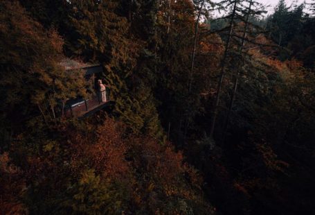 Maintenance Routine - brown wooden house on top of brown and green trees