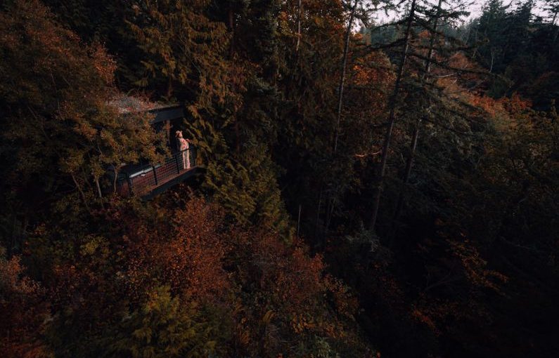 Maintenance Routine - brown wooden house on top of brown and green trees