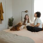 Pets Introduction - woman in white long sleeve shirt sitting on bed beside brown dog