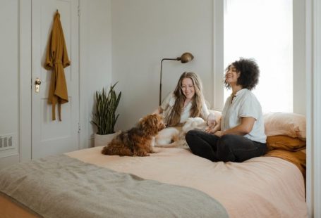 Pets Introduction - woman in white long sleeve shirt sitting on bed beside brown dog