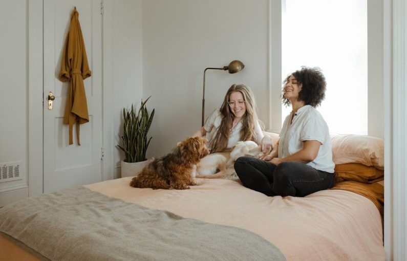 Pets Introduction - woman in white long sleeve shirt sitting on bed beside brown dog