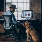 Pets Safety - man sitting on rolling chair holding dog