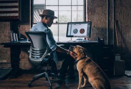 Pets Safety - man sitting on rolling chair holding dog