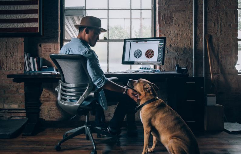 Pets Safety - man sitting on rolling chair holding dog