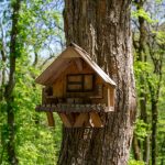 Rabbit Housing - brown wooden birdhouse on tree