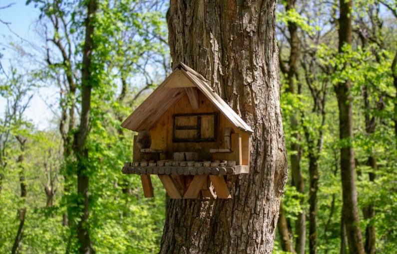 Rabbit Housing - brown wooden birdhouse on tree