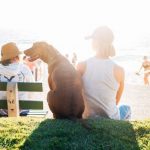 Bonding Pets - short-coated brown dog sit beside person wearing white tank top near beach during daytime