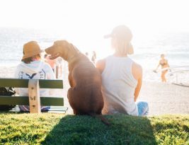 Socializing and Bonding with Your Small Mammal