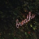 Birds Care - Breathe neon signage