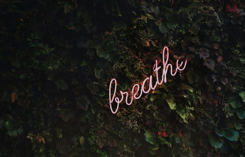 Birds Care - Breathe neon signage