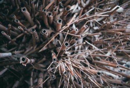 Reptile Health - a close up of a bunch of sticks and needles