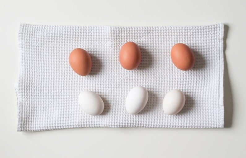 Diet Comparison - six white and brown eggs on white towel