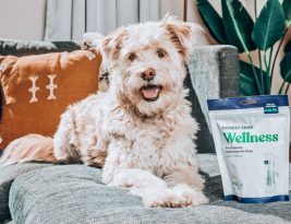 The Role of Probiotics in Pet Nutrition